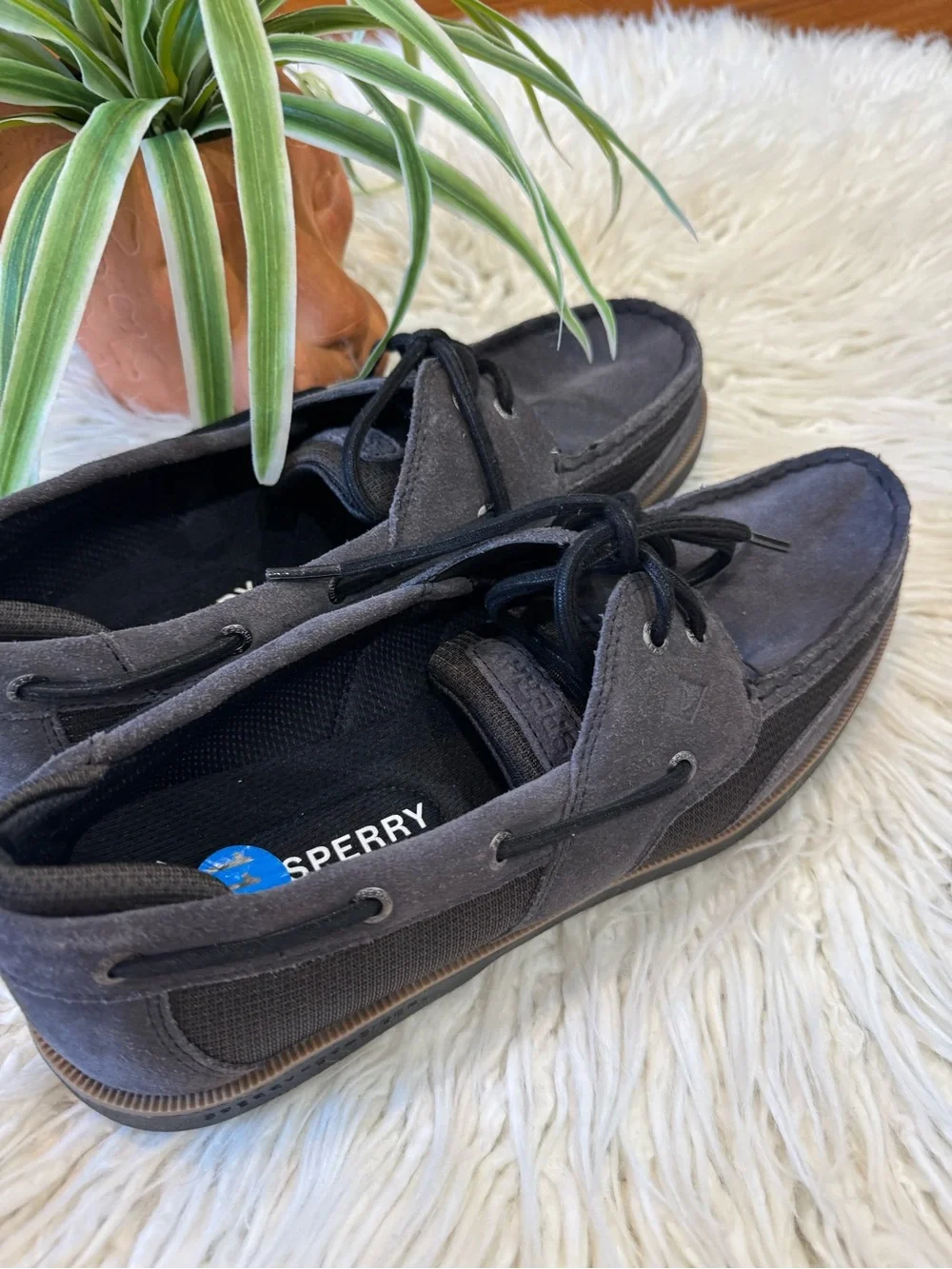 Sperry boat shoes